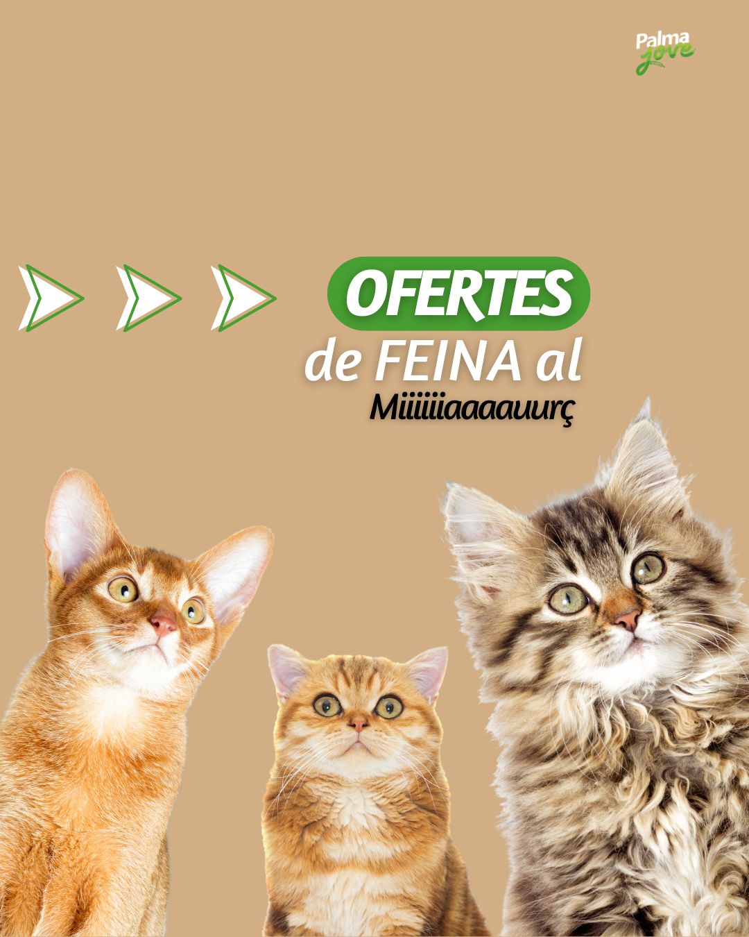 Imagen_/documents/2339362/18471578/1.jpg/00813df9-74ae-317d-a9bd-486569fc503b?t=1742292121988