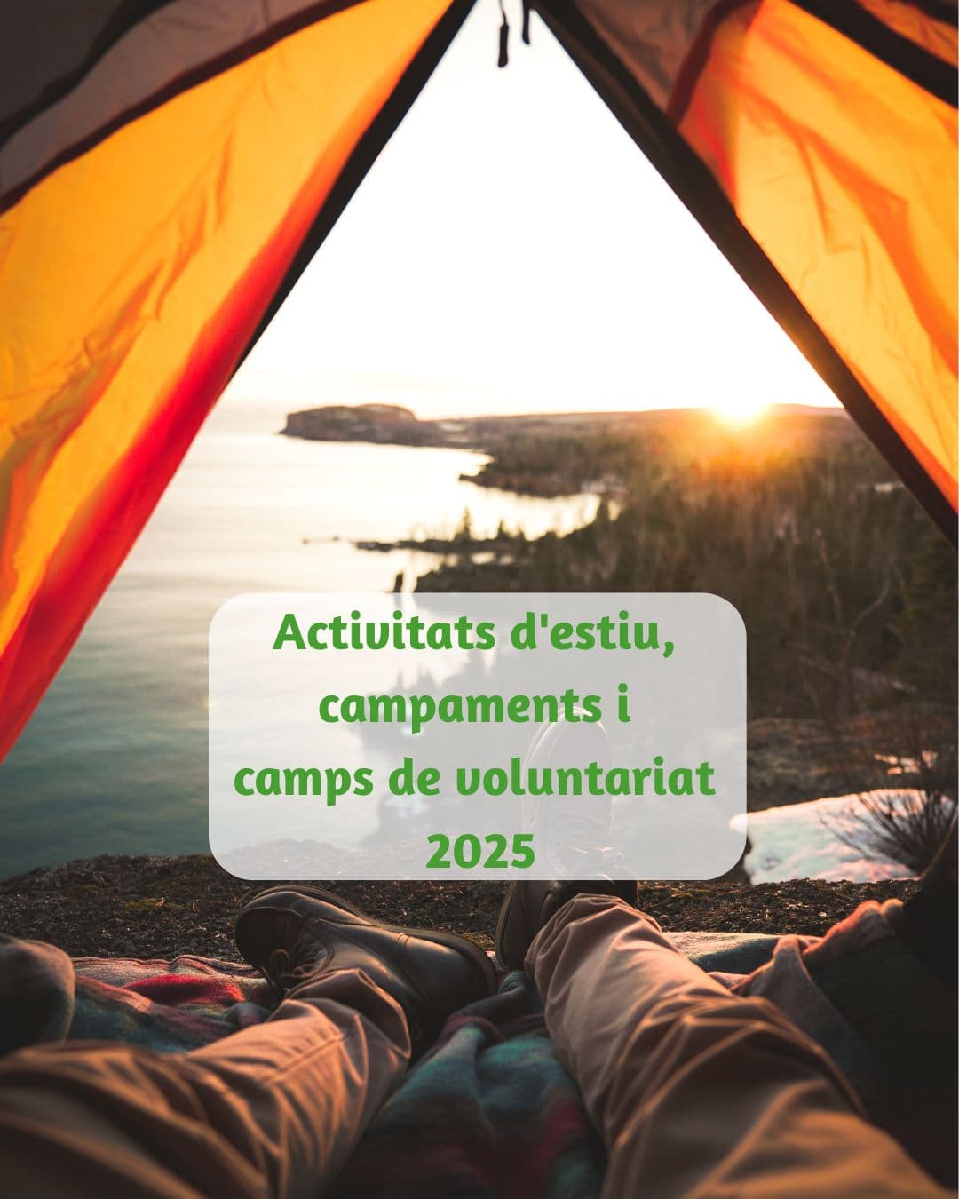 Imagen_/documents/2339362/18739525/Campamentos+y+campos+de+voluntariado+%281%29+%281%29.jpg/62063852-2338-1910-0ab5-5eeb466afc2a?t=1747062513718