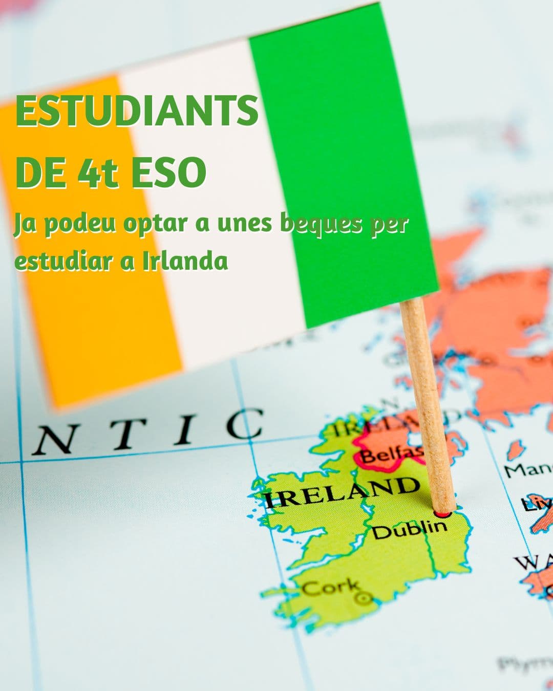 Imagen_/documents/2339362/18969580/Beques+4t+ESO+Irlanda+%281%29.jpg/1c9450f3-f7e9-4584-da2e-ff3dc806ff34?t=1751437874221