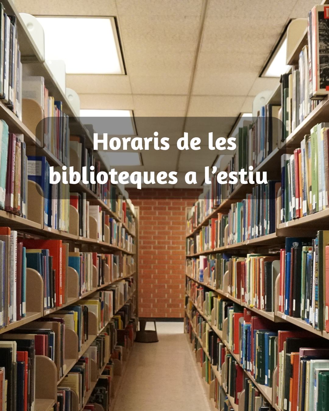 Imagen_/documents/2339362/18973725/Copia+de+Beques+4t+ESO+Irlanda.jpg/7eb2fb9a-86ca-6d7c-75e2-5acad1a59beb?t=1751459934329