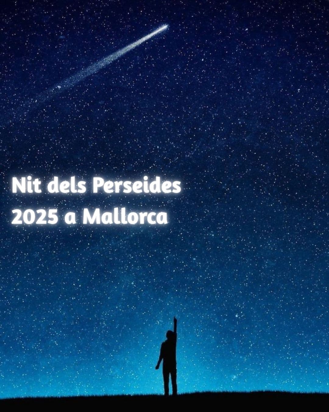 Imagen_/documents/2339362/19128359/Nit+dels+Perseids+2025+a+Mallorca.jpg/d294022c-5b04-e9bc-59a3-4e12d6be8374?t=1754484048903