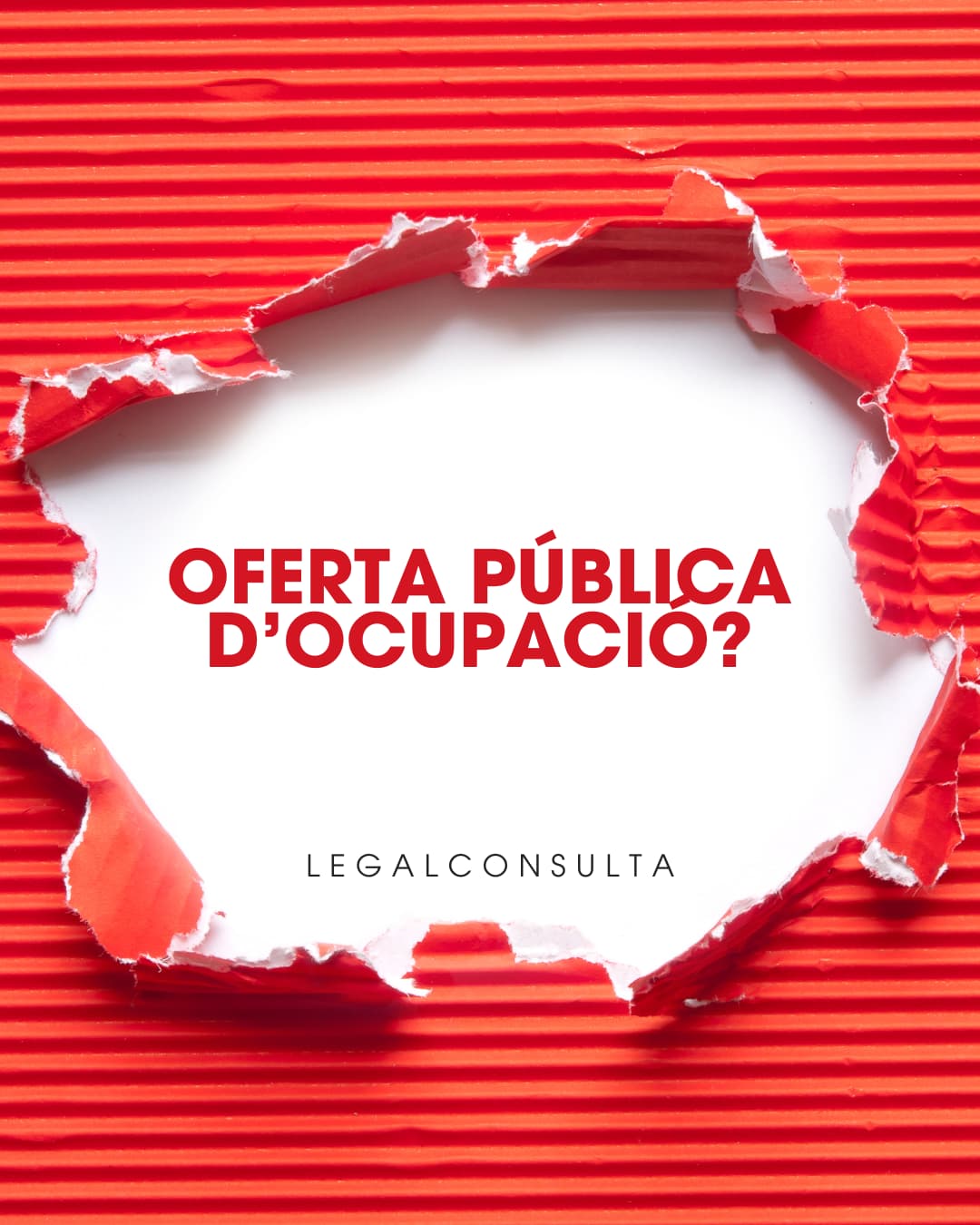 Imagen_/documents/2339362/19257175/OPO+2025.jpg/bcd8f272-91e9-e203-5fbe-6c50ac8de456?t=1756897591934