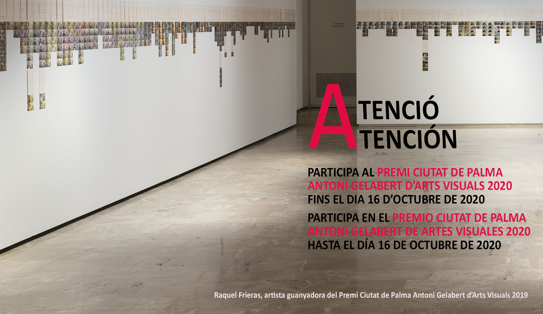 Obra guanyadora 2019 Raquel Frieras