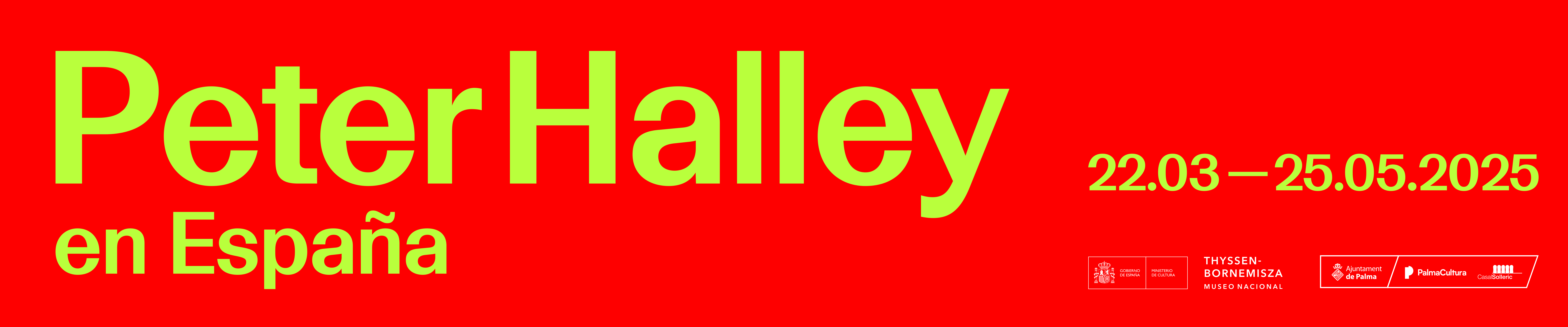 Imagen_/documents/39170/18116466/BANNER+Peter+Halley.jpg/8365aa92-60e0-8a92-a1ab-bbeabba7b45a?t=1742904809476