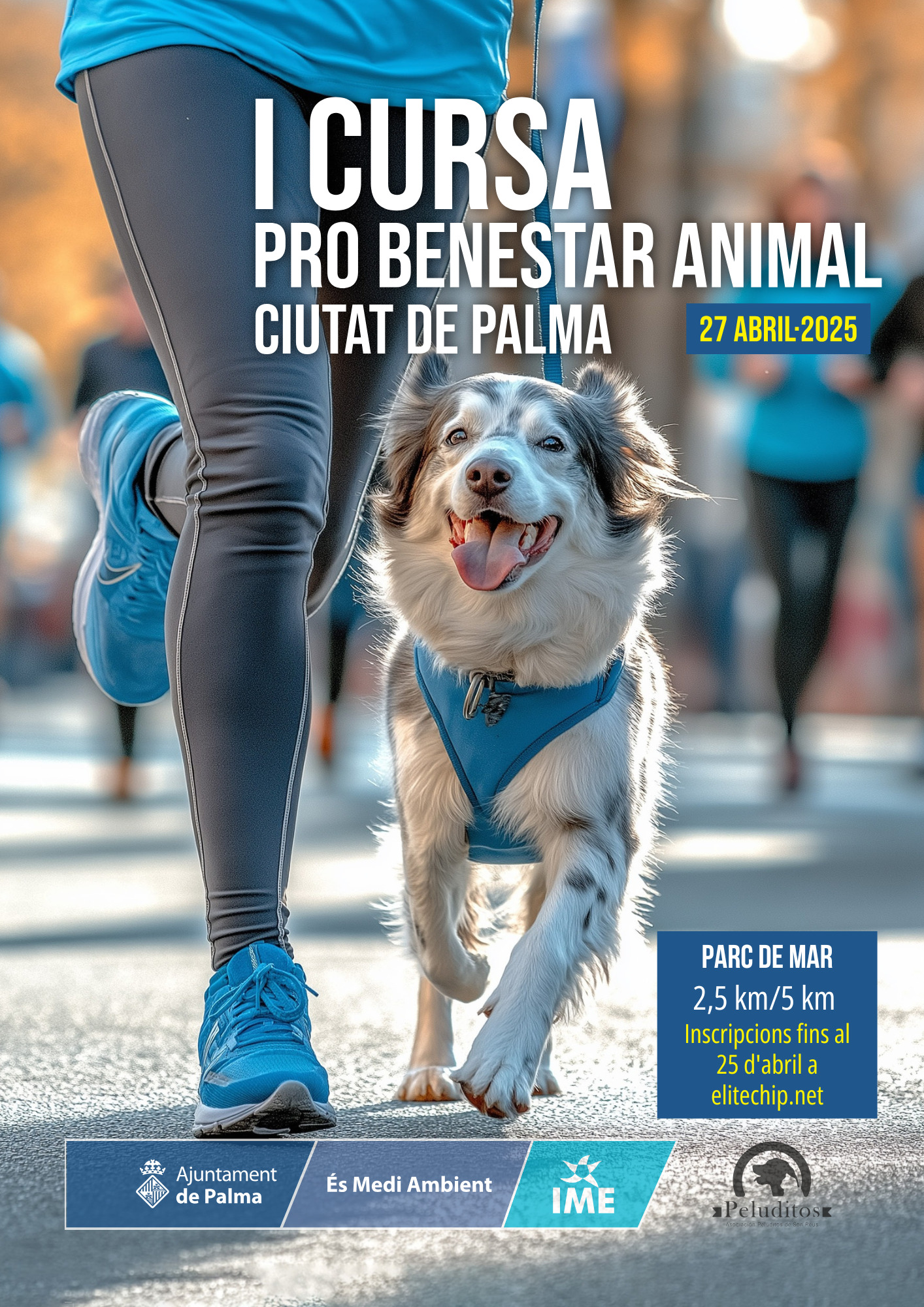 Imagen_/documents/39230/0/Cursa+Peluditos+25_A3.png/31c13b62-ff47-e307-26b7-4dc7947a8e33?t=1743666659035