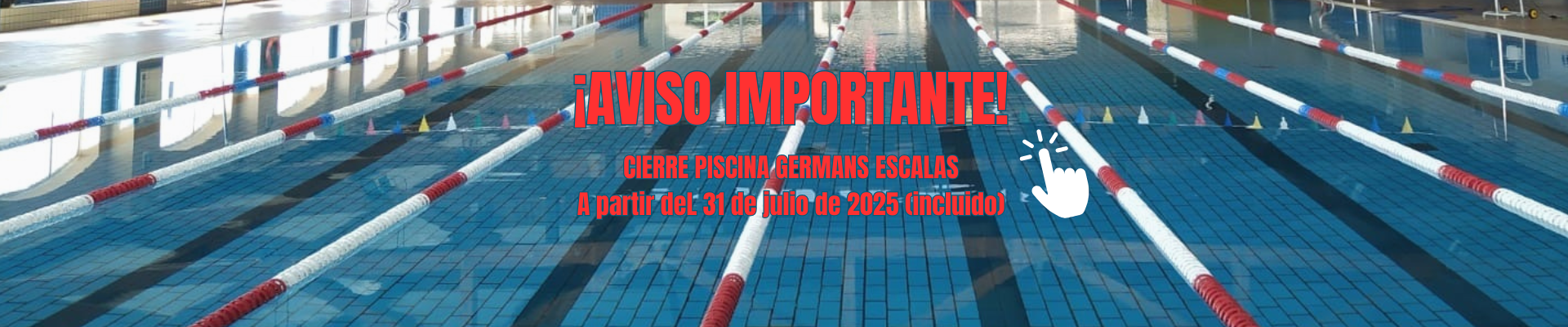 Imagen_/documents/39230/0/b%C3%A0ner+cat+%281%29.png/8fc35e08-2f54-1f05-8c39-93fb045b5998?t=1753863576654