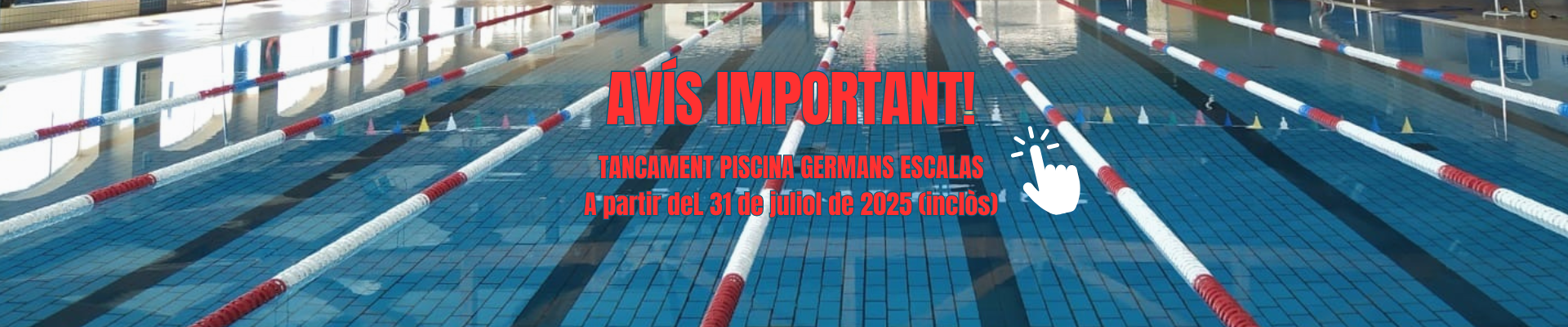 Imagen_/documents/39230/0/baner+cast+%283%29.png/b88a9d8d-2bb4-80bb-398d-fd3e4dd198aa?t=1753863626355