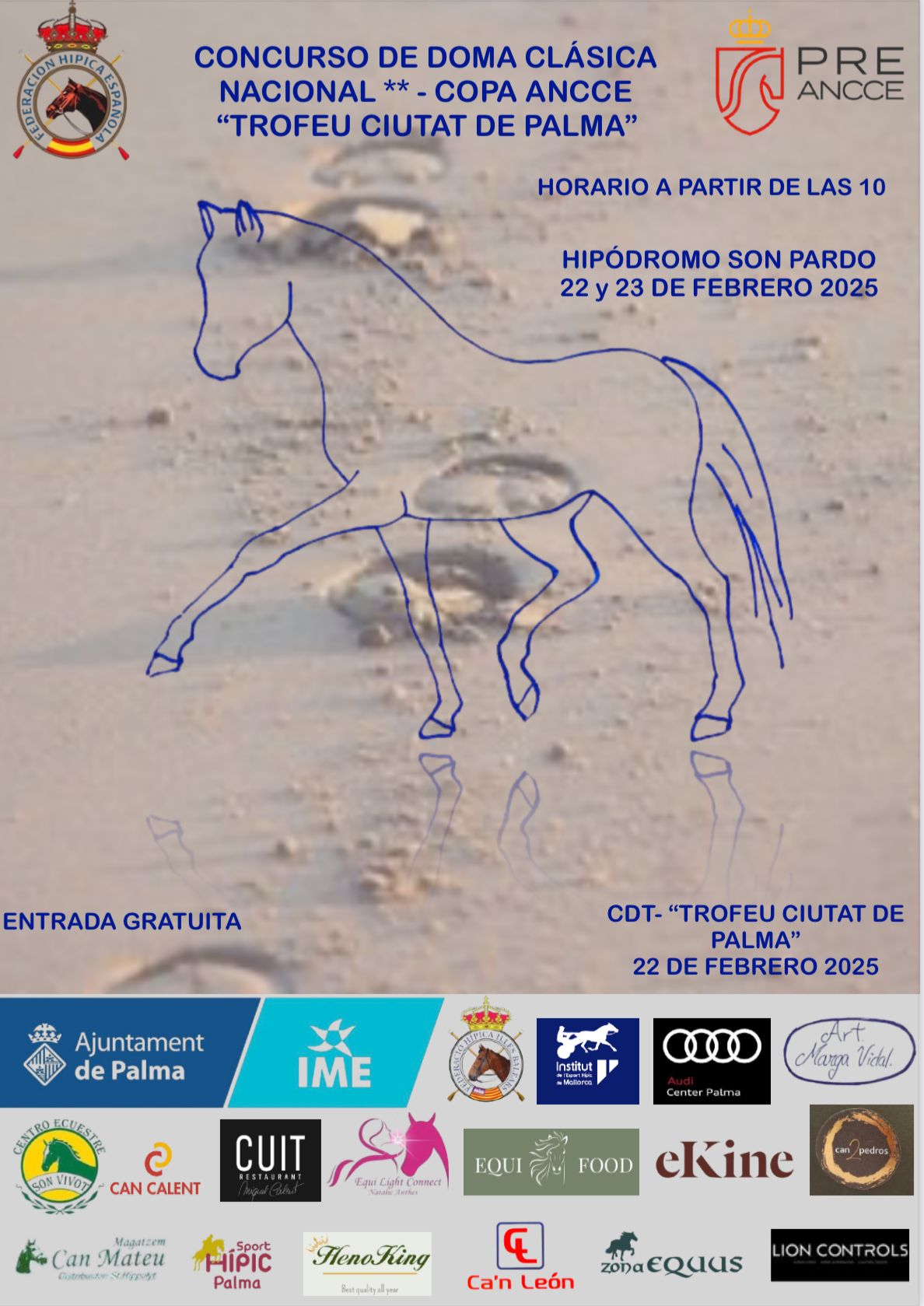 Imagen_/documents/39230/18116108/Ciutat+de+Palma+de+Doma+Cl%C3%A1sica.jpg/b8c79199-33f6-24e5-a8d5-16c4f027a794?t=1755499954072