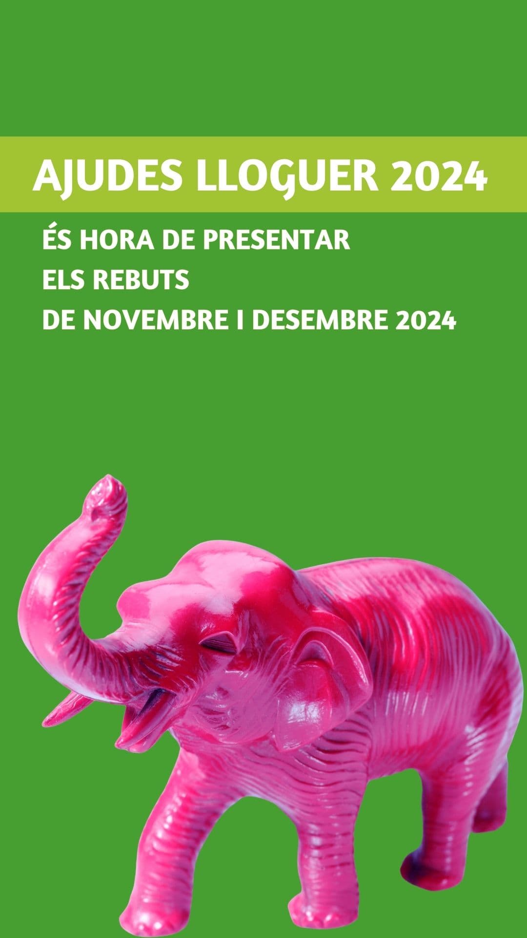 Imagen_/documents/39310/0/plazo+%281%29.jpg/e83d16b0-13de-b566-d0df-dc730ea697ab?t=1735821129635