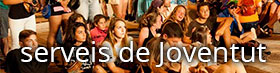 BANNER serveis de joventut