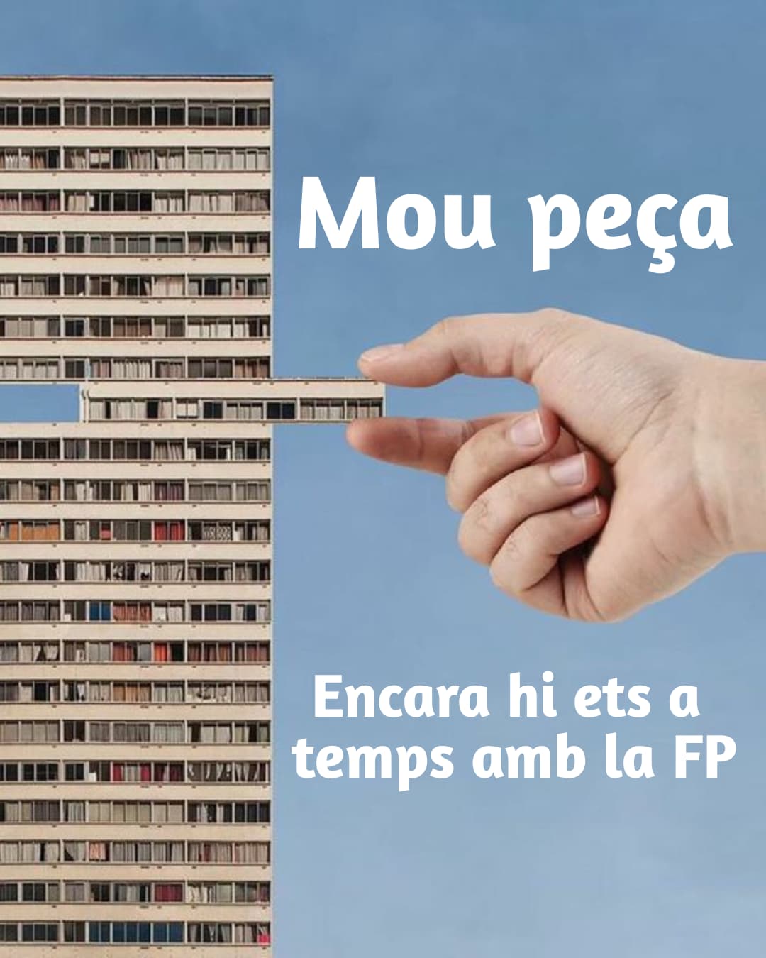 Imagen_/documents/39310/2709450/opciones+FP+formacion.jpg/2a1173e8-e91a-79d0-9a02-4fd2eb9d5843?t=1752668831345