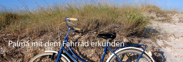 Palma mit dem Fahrraderkunden